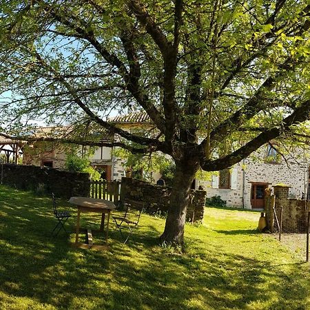 Bed and Breakfast La Fromagerie Saint-Martin-le-Vieux Zewnętrze zdjęcie